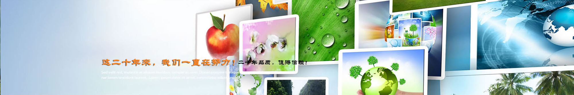 鹏飞介绍2